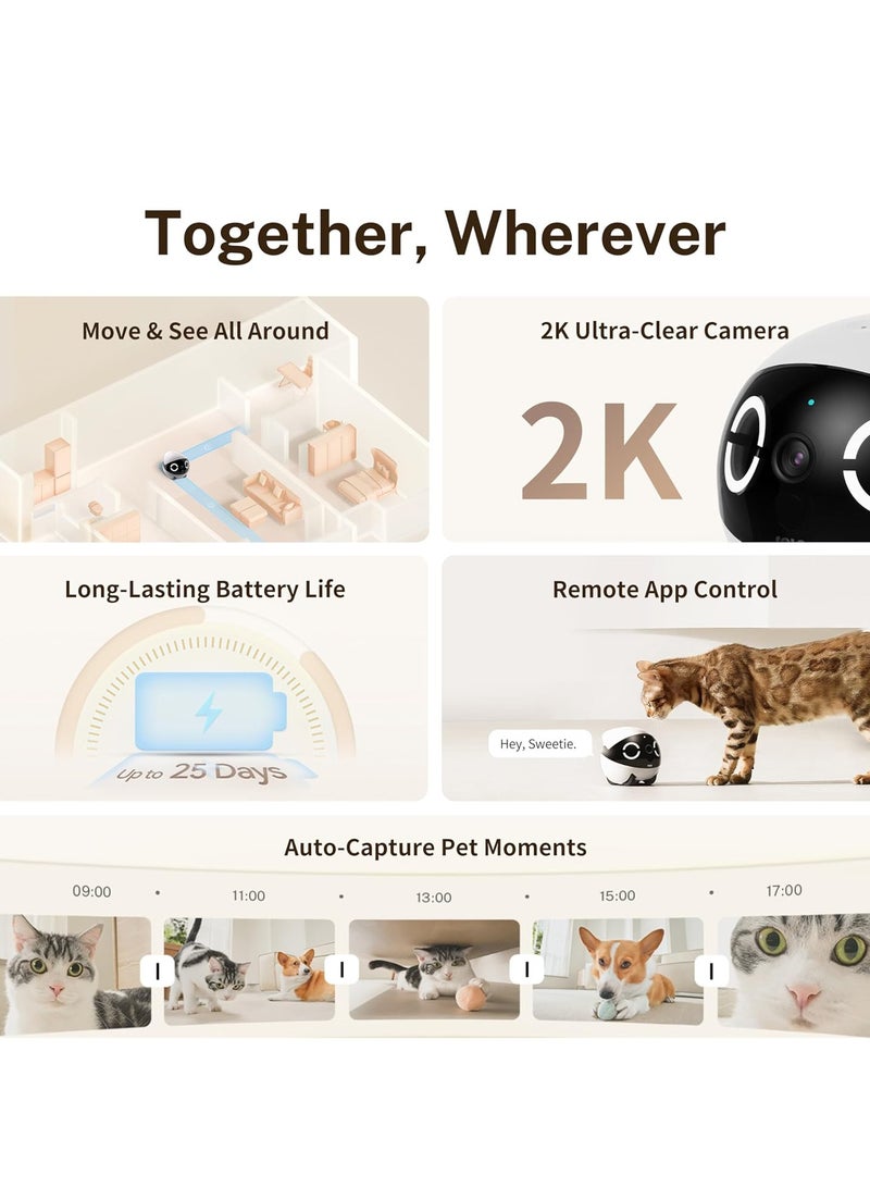 Enabot 2K Robot Camera for Animals Mobile Robot Pet Camera with App, Touch Call, 2-Way Audio, IR Night Vision, Motion and Video Detector - Image 2
